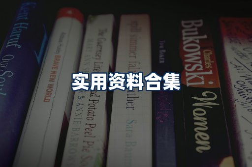 实用PDF资料展示
